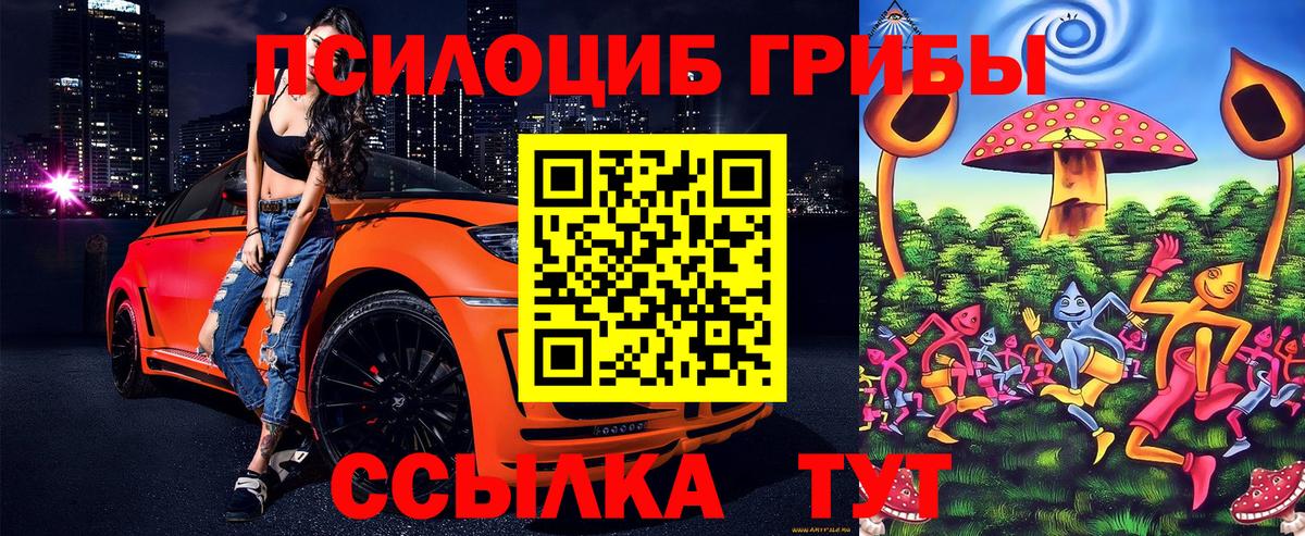 Карачаевск  Галлюциногенные грибы прущие грибы  что такое   Вход с VPN 